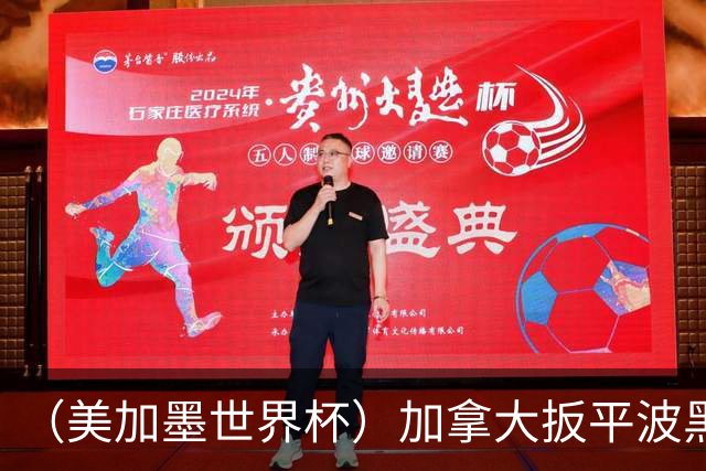 （美加墨世界杯）加拿大扳平波黑 获队史世界杯首分